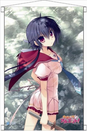 ゆめいろアルエット！ B2タペストリー 橘旭 Amazon.co.jp: ゆめいろアルエット! B2タペストリー 月代柚姫 : おもちゃ